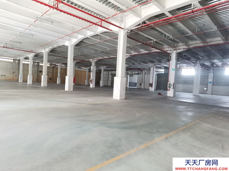 (出租) 深圳500平鹽田6000平方廠房倉庫分租低價物流分撥配送中心合租