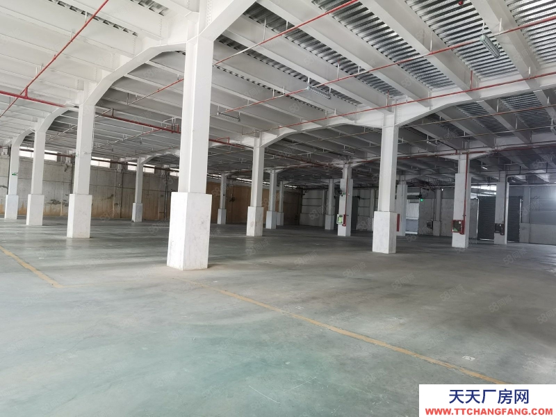 (出租) 深圳500平鹽田6000平方廠房倉庫分租低價物流分撥配送中心合租