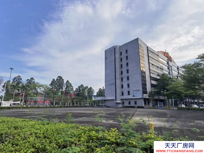 (出租) 深圳鹽田保稅區地鐵旁新出獨院紅本廠房出租，大小可分空地超大形象佳