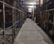 (出租) 寬城合隆廠房樓房倉庫出租（個人）