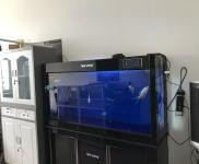 (出租) 位于南四環出口處，育民路