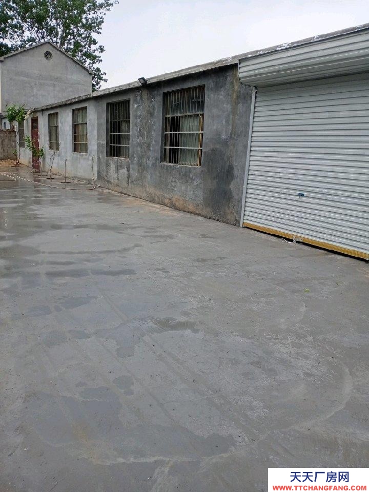 菏澤鄆城4一6間平房，有水有電，靠大路