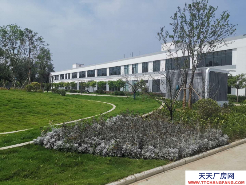 菏澤鄄城帶地坪漆標(biāo)準(zhǔn)框架廠房出租，歡迎生產(chǎn)型企業(yè)入駐