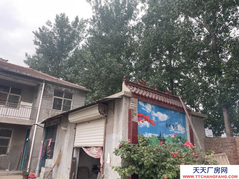 菏澤鄄城交通便利，大面積獨院