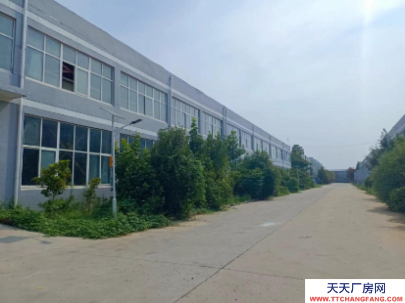 菏澤出租定陶城區廠房