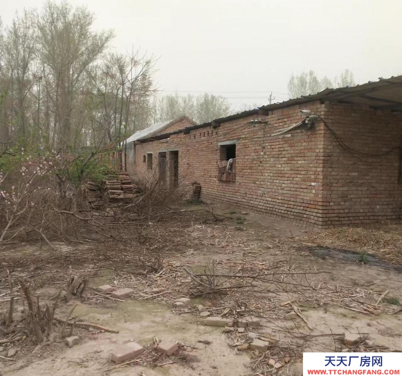 菏澤定陶養殖場，交通便利可過大車