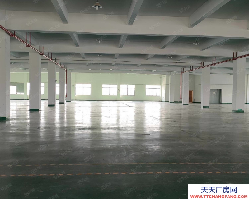 嘉興平湖(出租) 12萬平方高標倉庫出租，單邊，雙邊，單層雙層坡道庫都有可分租