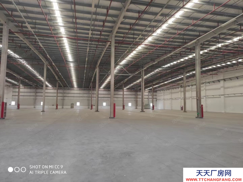 嘉興平湖(出租) 12萬平方高標倉庫出租,單邊,雙邊,單層雙層坡道庫都有可分租