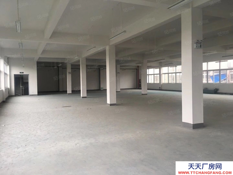 嘉興平湖(出租) 服裝城服裝展廳直播間300平500平800平出租