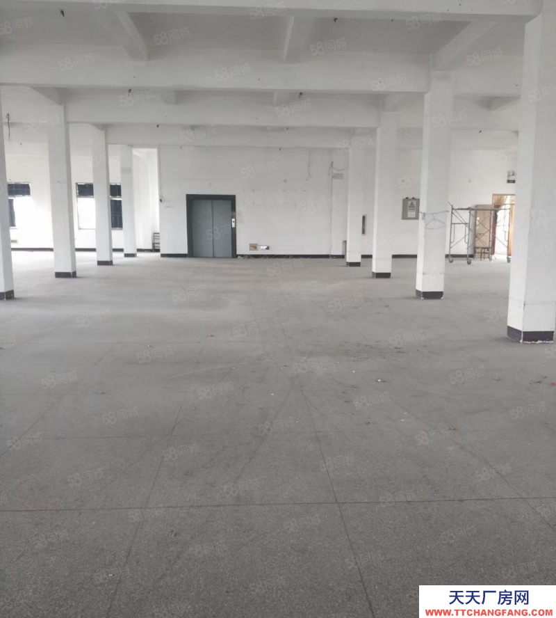 嘉興平湖(出租) 九龍建材市場附近一樓450平方倉庫，租金22元一平