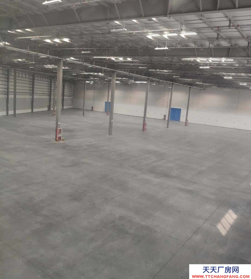 嘉興平湖(出租) 2600平方平湖經濟開發區一樓丙二類消防倉庫出租卸貨平臺噴淋