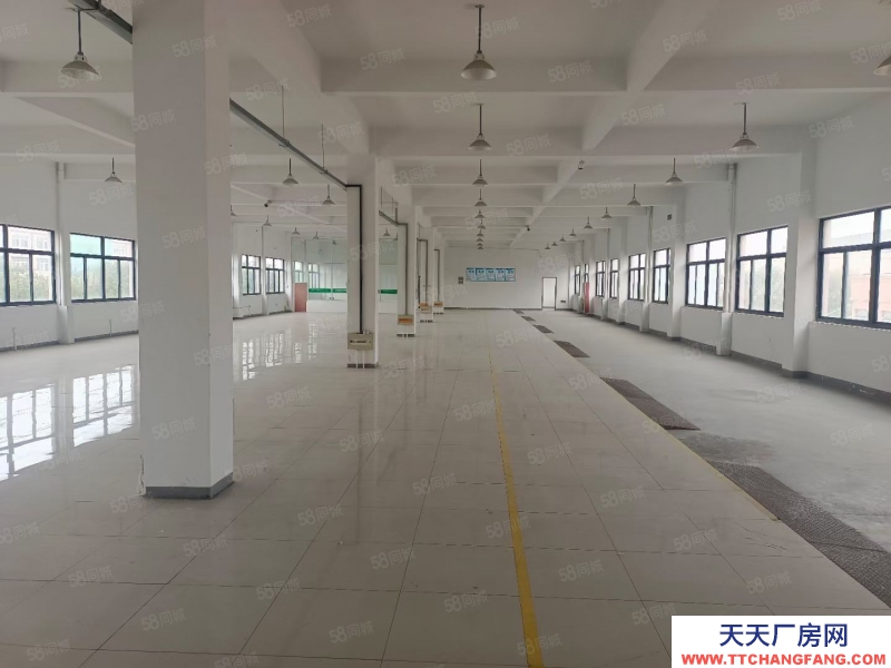 嘉興平湖(出售) 平湖周邊20畝出售,廠房面積17000平方,廠房形象好,