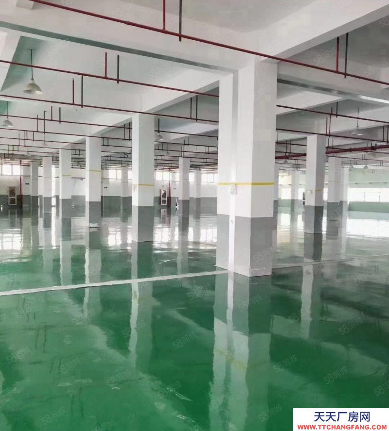 嘉興平湖(出售) 平湖周邊20畝出售，廠房面積17000平方，廠房形象好，