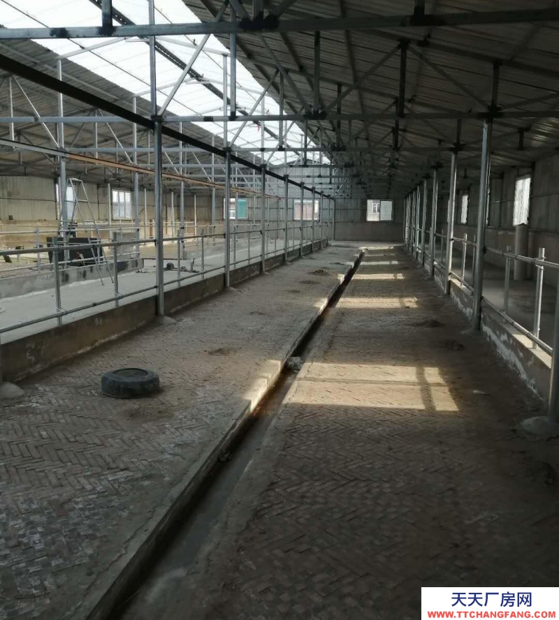 (出租)鞍山臺安縣 出租出售！適合養牛，能養100多頭牛。