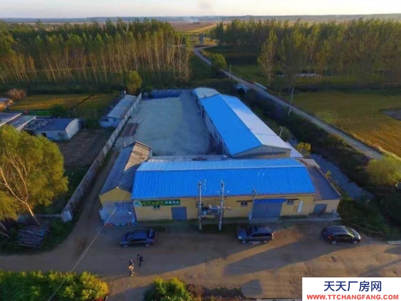 (出租) 鞍山臺安縣廠房，收糧，存糧，服裝廠
