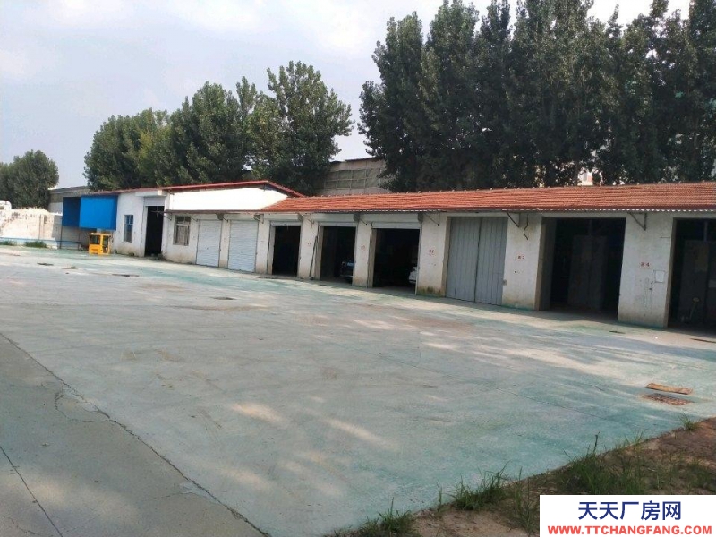 濱州濱城喜鵲湖附近大型倉庫出租，可分租