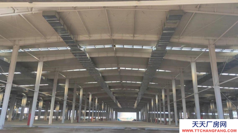 濱州惠民單一層，挑高十一米高標(biāo)準(zhǔn)鋼結(jié)構(gòu)廠房