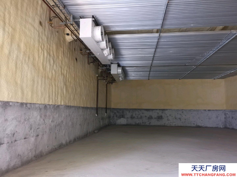 濱州惠民冷庫，新庫，次出租