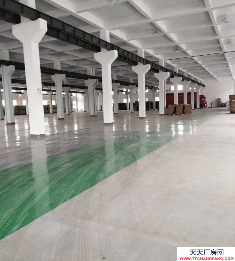 嘉興平湖(出售) 全新獨棟廠房出售,面積2000平至5500平不等多棟出售