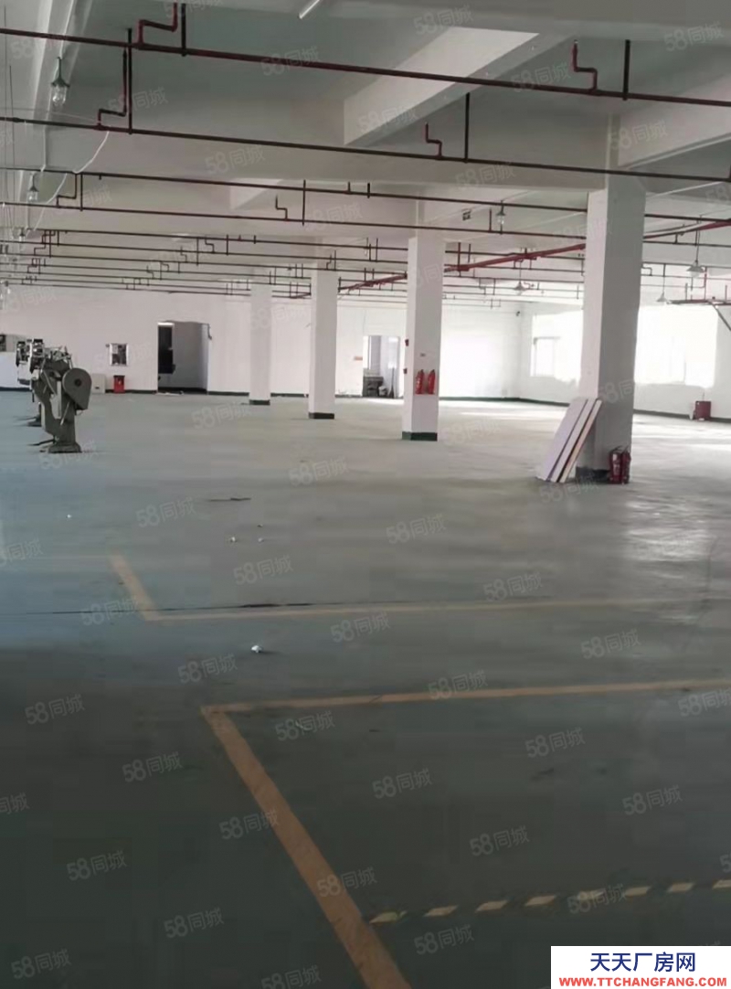 嘉興桐鄉(出租) 金馬轉盤旁甌華獨棟廠房8100平，可分租1350平2700平