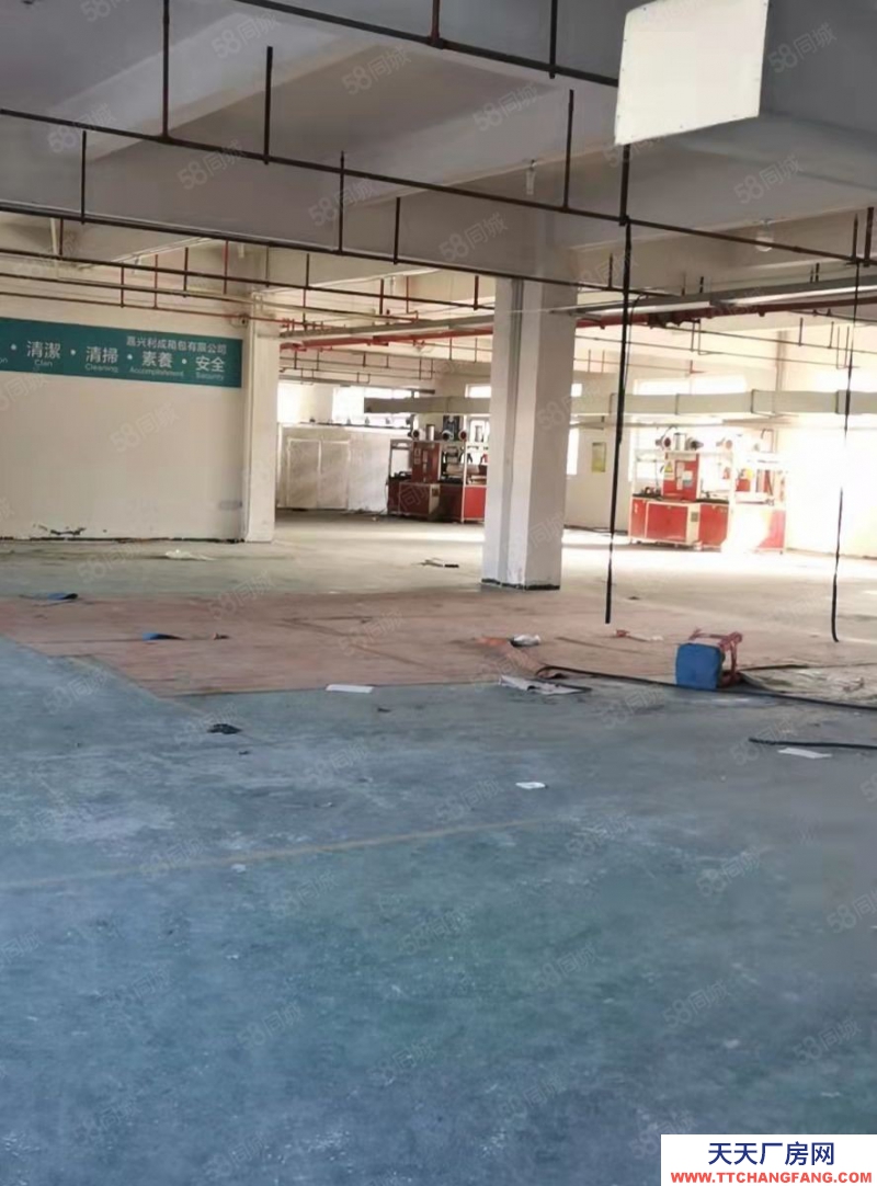 嘉興桐鄉(出租) 金馬轉盤旁甌華獨棟廠房8100平,可分租1350平2700平