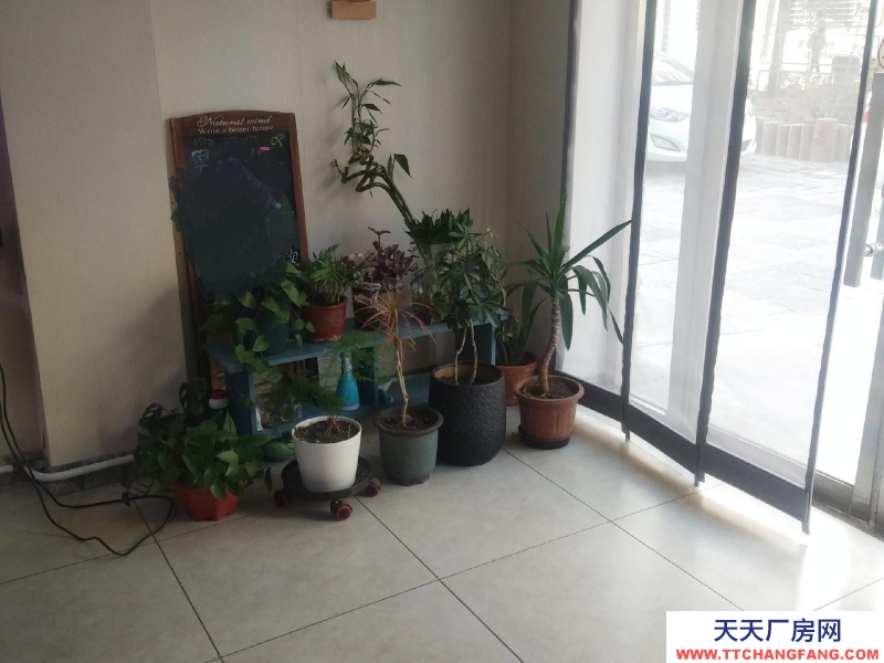 (出售)錦州凌河區 低價售巷內門市位置好