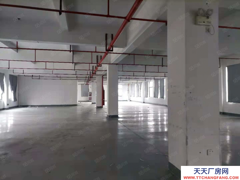 嘉興桐鄉(出租) 濮院2990平米廠房倉庫出租，可分租800平