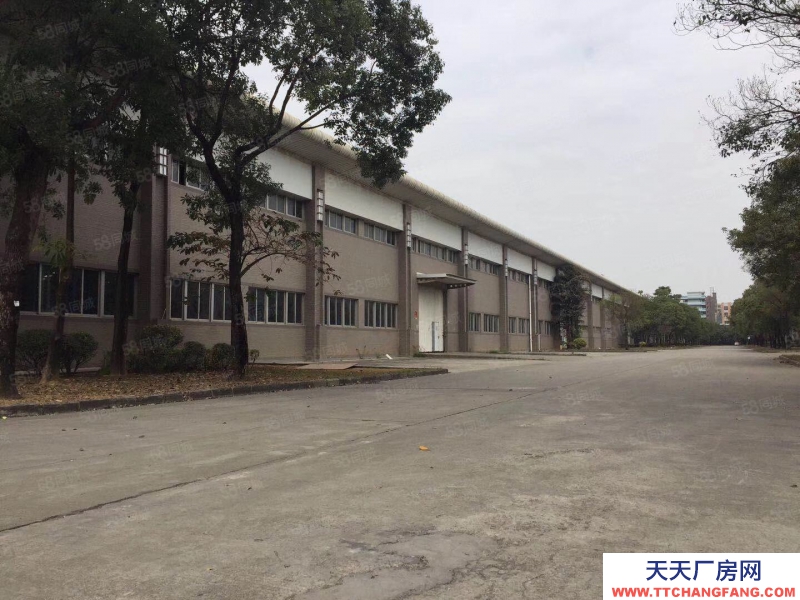 (出租) 深圳福永原房東紅本單一層鋼構(gòu)滴水8米高30000平方出租大小分租