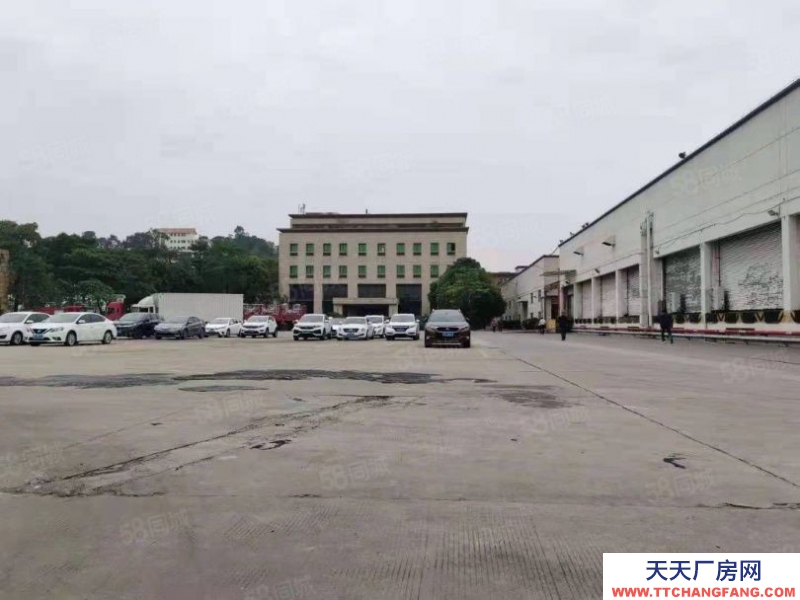 (出租) 深圳松崗高速口倉庫6萬平滴水10米帶卸貨平臺超大空地紅本鋼構出租