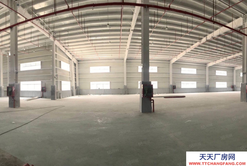 (出租) 深圳鹽田附近單層倉庫，標準卸貨臺，大小分租，可托管，自管