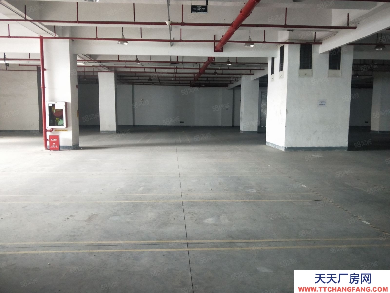 (出租) 深圳貨物代管代發，市內派送，集貨裝柜