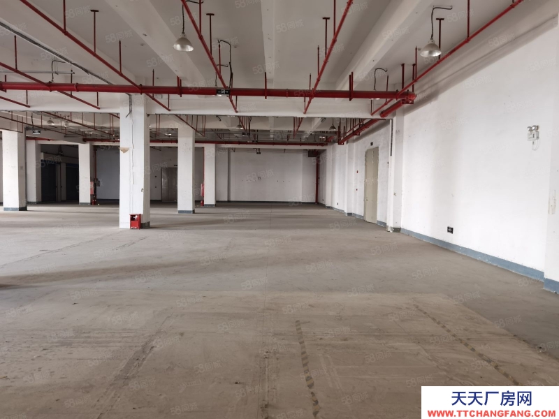 (出租) 深圳貨物代管代發,市內派送,集貨裝柜