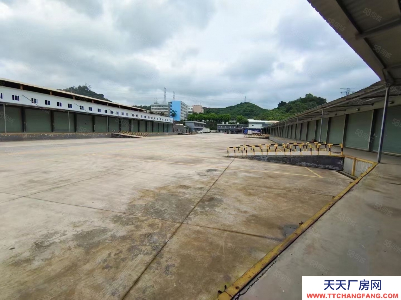 (出租) 深圳坂田物流園一樓5000平可分300平帶平臺