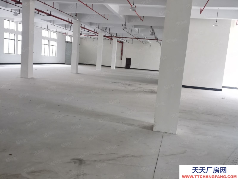 嘉興桐鄉(出售) 崇福獨門獨院7.6畝，建筑面積4400平米出售