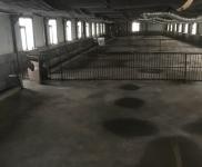 (出租) 榆樹市養(yǎng)殖場(chǎng)出去手續(xù)齊全