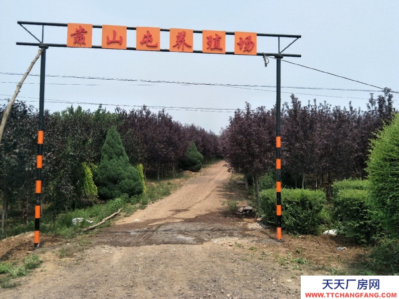 (出售) 錦州義縣留龍溝養(yǎng)殖場(chǎng)26680平米