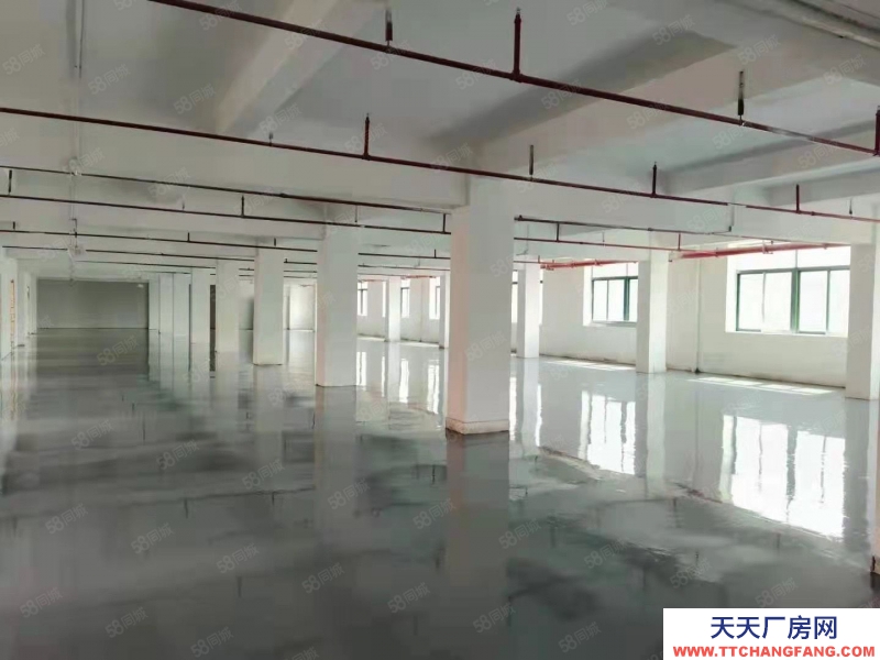 (出租) 羅湖布心工業(yè)區(qū)一二樓小面積倉庫出租100平至800平