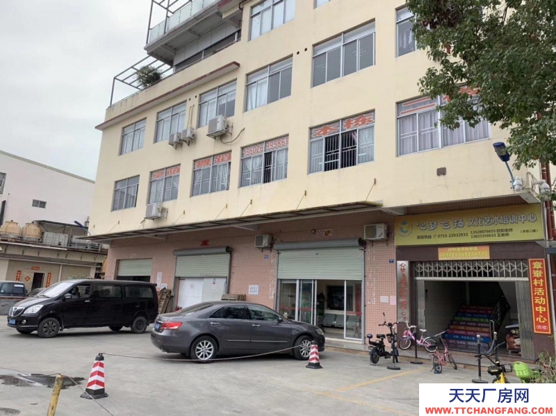 (出租) 羅湖清水河物流園冷凍、冷藏倉庫，可分租，可以打包