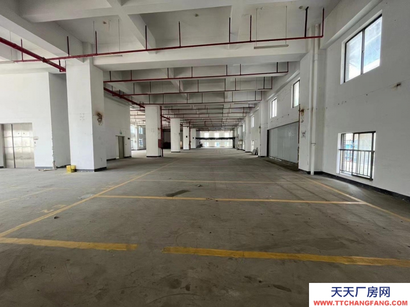 （出租）深圳市鹽田區(qū)房東直租非中介