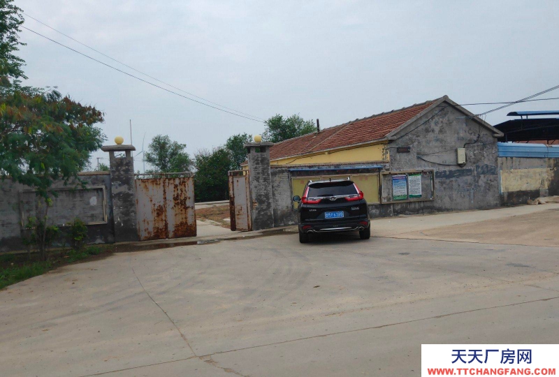 濱州陽信臨高速路口，貼公路，加工、制作理想之地，可租可售
