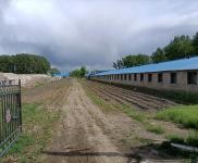 (出售) 有辦公室，倉庫，磚混