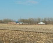 (出售) 惠發(fā)街燒鍋村 豬舍場地 5000平米