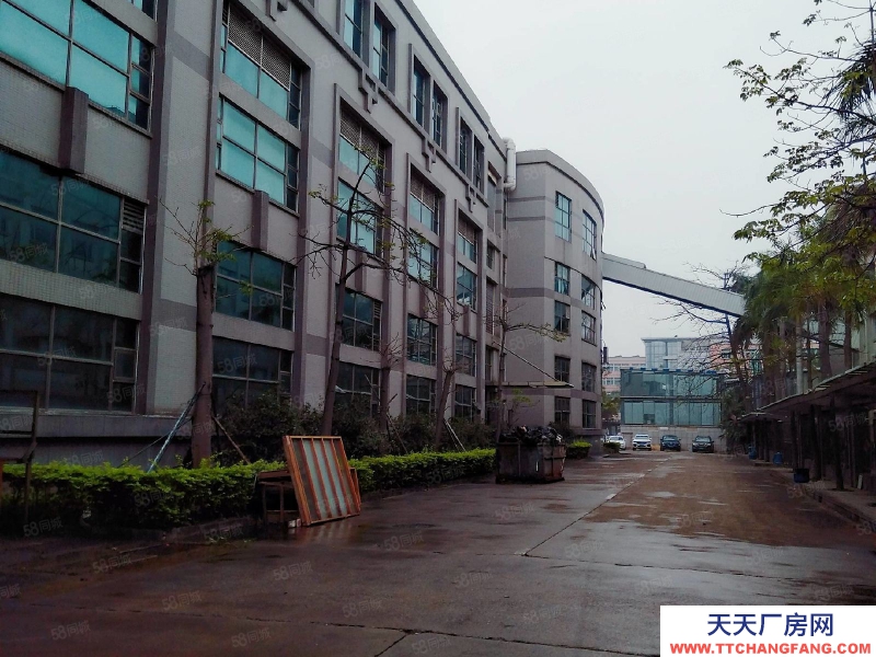 (出租) 珠海南屏550平方~4000平方一樓廠房 機(jī)械 設(shè)備 五金