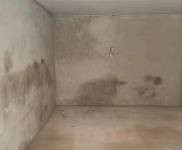 (出租) 庫(kù)門就在馬路邊，可進(jìn)車可存貨，開麻將館等都挺適合。