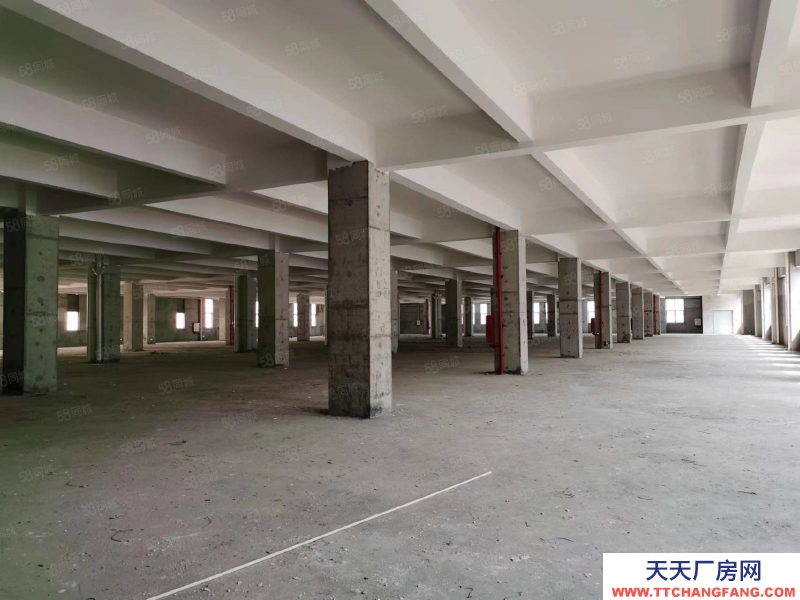 (出租) 珠海斗門誠豐優(yōu)品預(yù)制菜產(chǎn)業(yè)園甲方直租條件優(yōu)惠