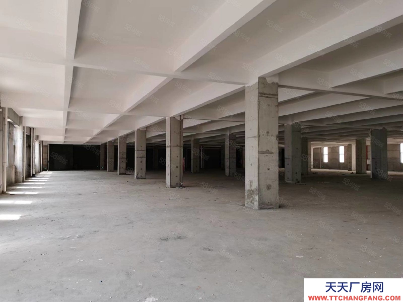 (出租) 珠海斗門誠豐優品預制菜產業園甲方直租條件優惠