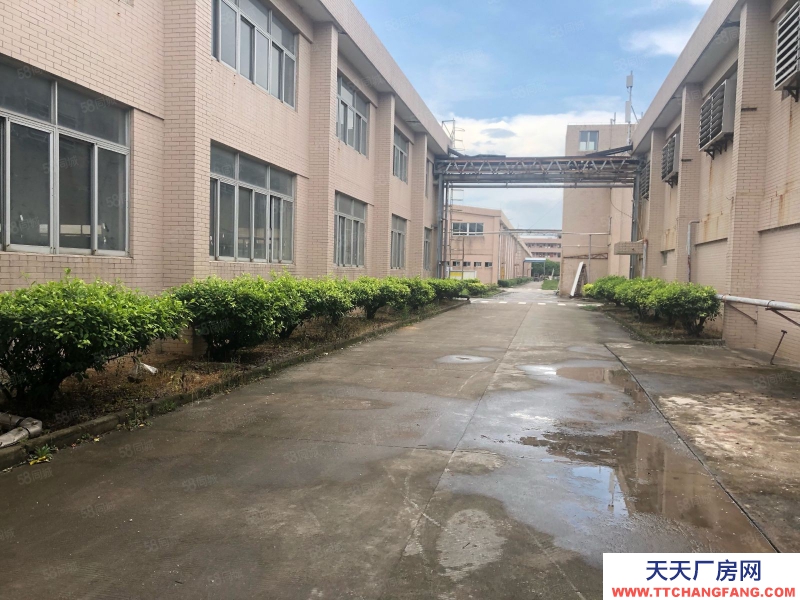 (出租) 珠海白蕉開發(fā)區(qū)獨院廠房1100平米招租