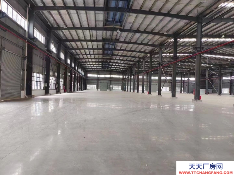 (出租) 珠海紅旗5000~10000平全新單層鋼構廠房，高10米，可分租