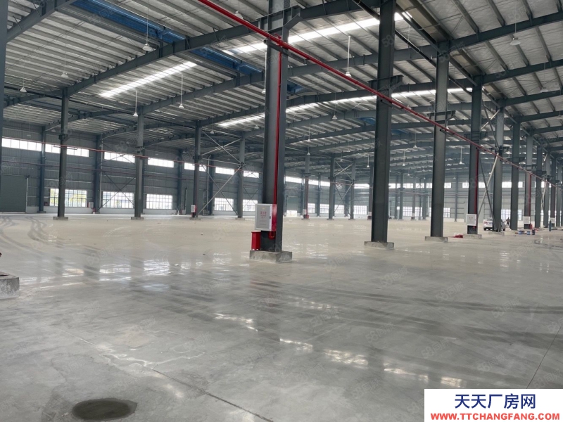 (出租) 珠海紅旗5000~10000平全新單層鋼構廠房，高10米，可分租