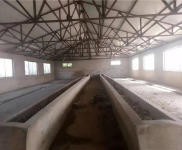 (出租) 樺皮廠金崗村大型養殖場土地出租出售